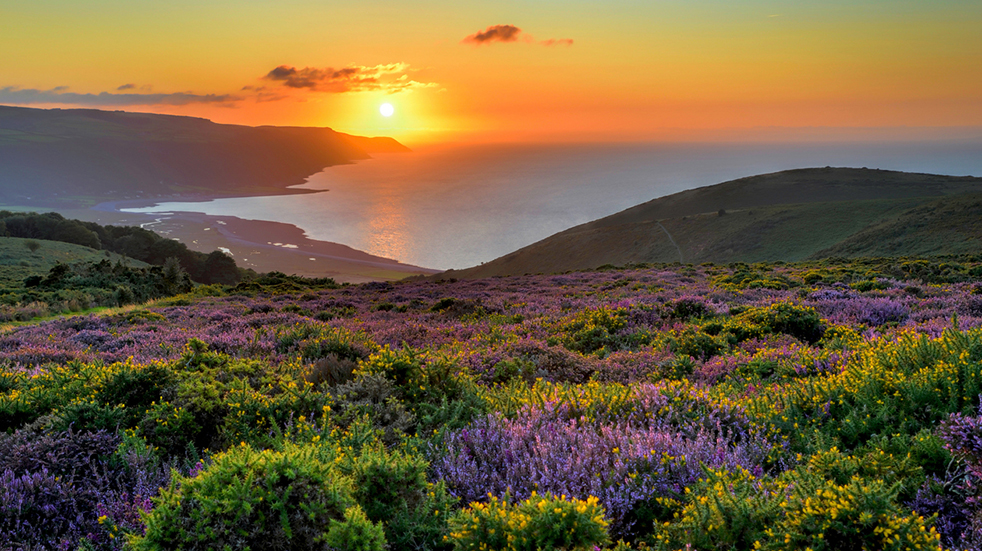 Family walking trails: Porlock, Somerset